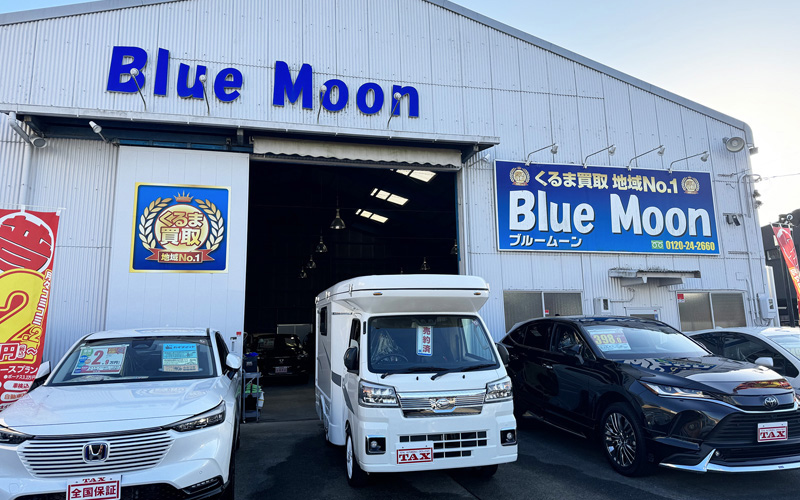 shop-thumb_blue-moon